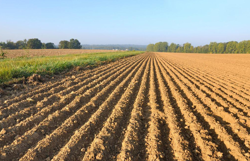 申请征地信息公开却被答复浪费行政资源？市政府复议纠正！